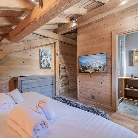 Moderne 4* Avec Sauna, Tv Et Parking A Argentiere - Fr-1-343-180 Chalet